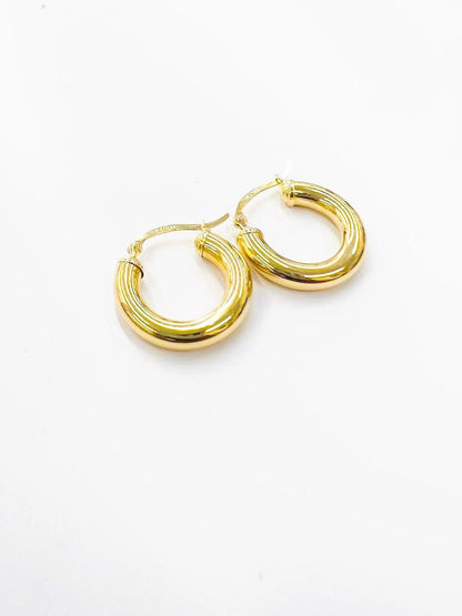 14K Yellow Gold Hoop Earrings for Womens 20x20mm 4mm Dainty Fancy Jewelry