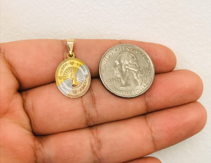 14K Real Gold Filled Virgen de Guadalupe Necklace Pendant 18” 20x14mm Tri-color / Dije y Cadena de la Virgencita de Guadalupe